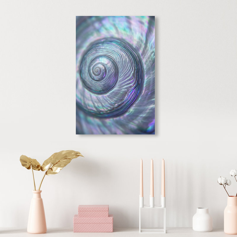 Sea Spiral Print by Oliver Gal, 15"H x 10"W, Gallery Wrapped
