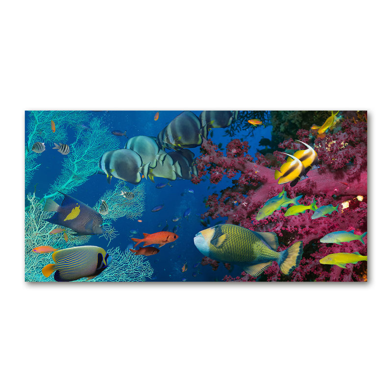 Coral reef 1 Piece Wrapped Canvas Wall Art