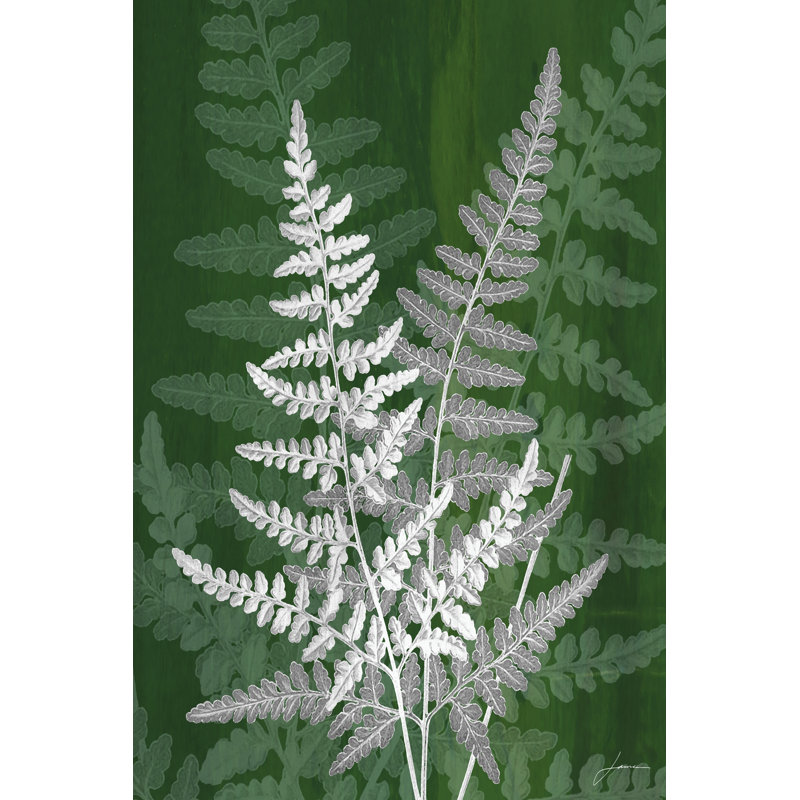 Jewel Ferns IV by James Burghardt - Wrapped Canvas Painting, 46cm H x 30cm W x 3.8cm D