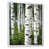 White Floater Framed