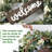 Green Artificial Eucalyptus Wreath