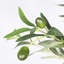 Olive artificielle avec pot
