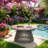 Christopher Knight Home 31.5" W x 31.5" D x 16" H Acacia Wood Round Outdoor Coffee Table-785274771-785274765