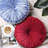 Mylene Velvet Throw Pillow-1024116620