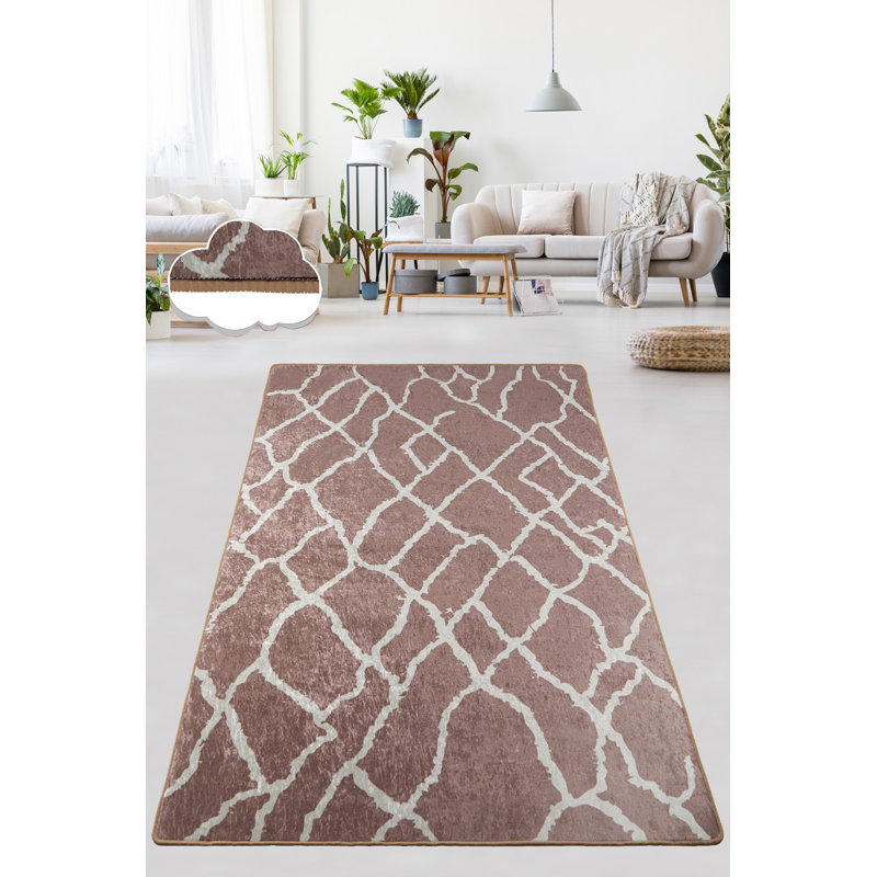 Soft Mink Area Rug, 31.5 x 55.1 inches | 100% Polyester, 0.4 in Pile Height, 0.4 in Total Thickness | Antibacterial, Non-Slip Underside, Machine Washable | Perfect for Living Room, Bedroom, and Cozy Spaces