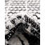 Tapis Asheville Enciso-83587683