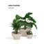 Luna Planter-921280413-921280416
