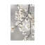 White Blossoms On Silver III by Kate Bennett - Wrapped Canvas Print-1865427871