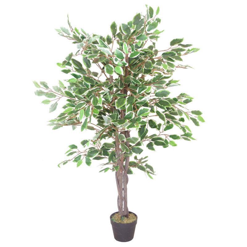 Anivea 130cm Faux Ficus Tree in Pot