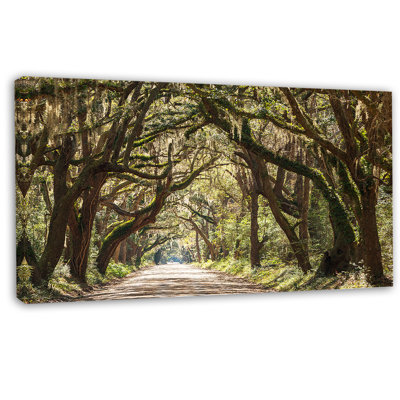 " Trees Tunnel In Botany Bay "