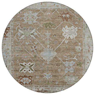 Machine Washable Indoor/Outdoor Xhevrie Brown Rug