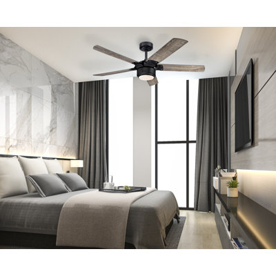 Prochoros Ceiling Fan with LED Lights
