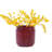 Modern Bean Paste Red Ceramic Flowerpots For Outdoor And Indoor Spaces - Drainage Hole 3 Garden Frost- Glossy Finish-629506089