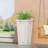 PLANTER