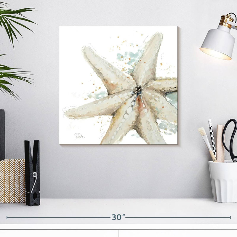 Étoile de mer Aletra