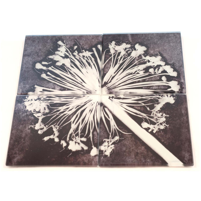 Guynn Glass Square 1 Piece Coaster