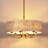 24" 6-Light Capiz Shell Drum Chandelier