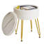 Ahilan Metal Accent Stool-2033349368