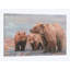 «Three Bears», impression sur toile-33109889-72410921-72410930