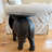 Destiney Elephant End Table
