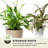 Envelor Potting Soil-70796763
