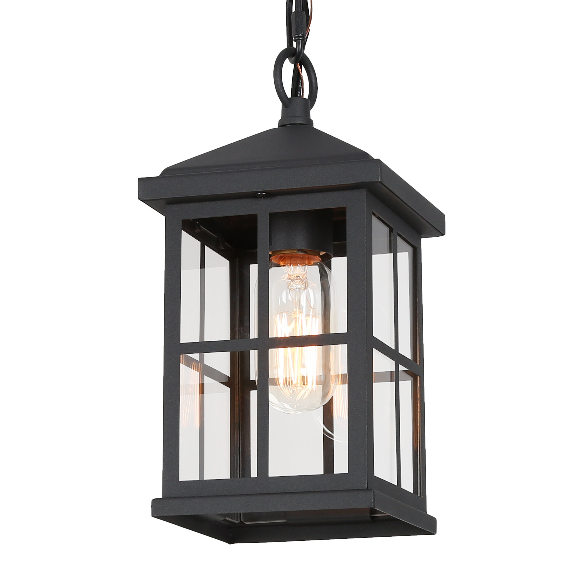 Longshore Tides Sunnyvale Outdoor Hanging Lantern | Wayfair