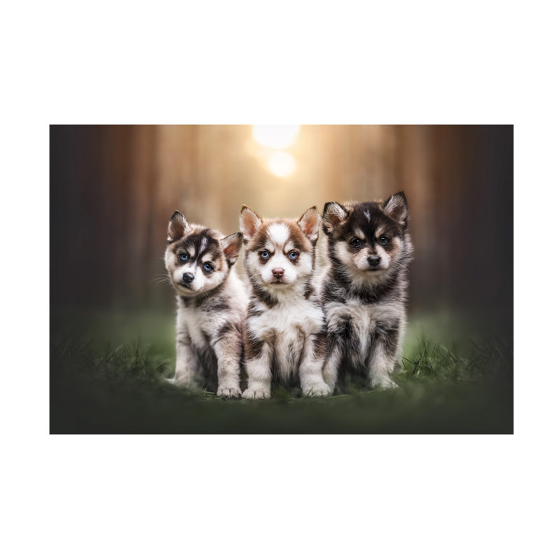 "Natalie Grosse Trouble Comes In Threes", art sur toile, H 12 po x l 19 po