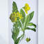 Ensemble de 4 fleurs murales botaniques, décoration pour salon, salle à manger, chambre à coucher, couloir