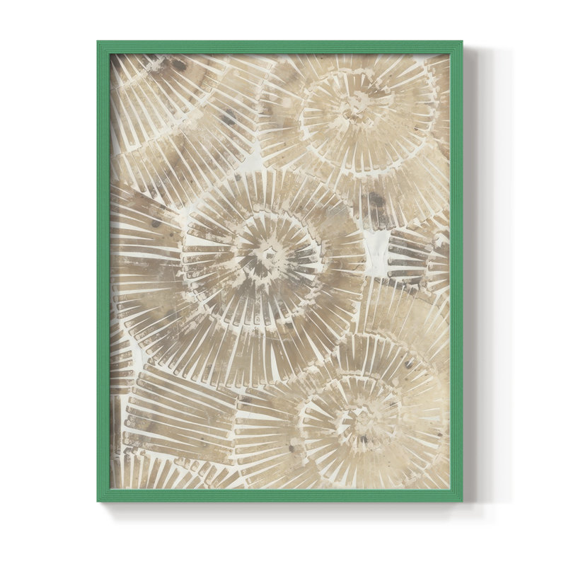 Fossil Nautilus II, reproduction encadrée - bois massif, H 30 po x l 24 po, Vert