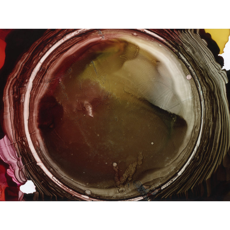 Dark Lens Print by KC Pollak, Black Framed Canvas, 24" H x 32" W, 25" H x 33" W