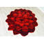 Tapis rouge Vesta-1335240176