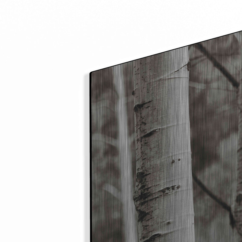 "Aspens IV" par Debra Van Swearingen, H 24 po x l 36 po