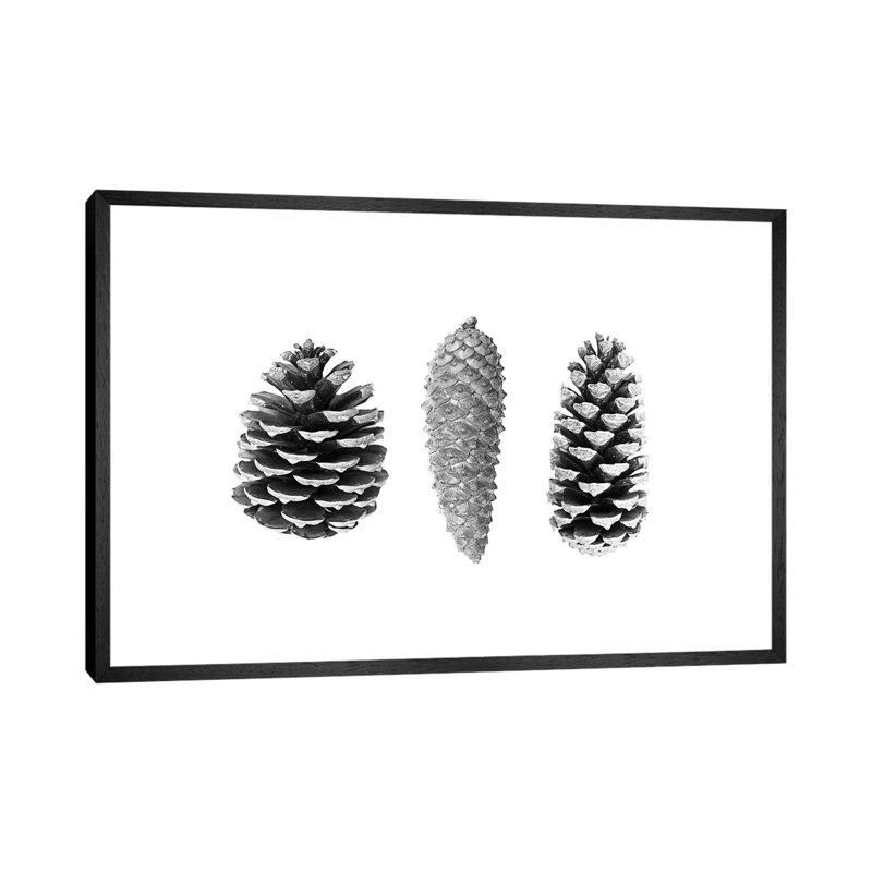 Pine Cones by Sisi & Seb - Gallery-Wrapped Canvas Giclée on Canvas, Black Framed, 66.04 cm H x 45.72 cm W