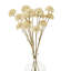 Arrangement-111171209