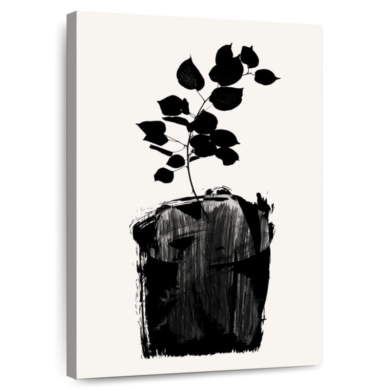 Noir Harnek Scabiosa, H 24 po x l 16 po