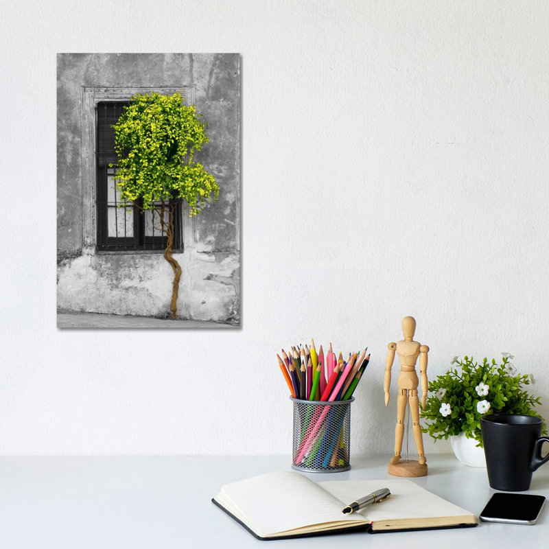 Panoramic Images - Print on Canvas, 20.32 cm H x 30.48 cm W, Wrapped Canvas