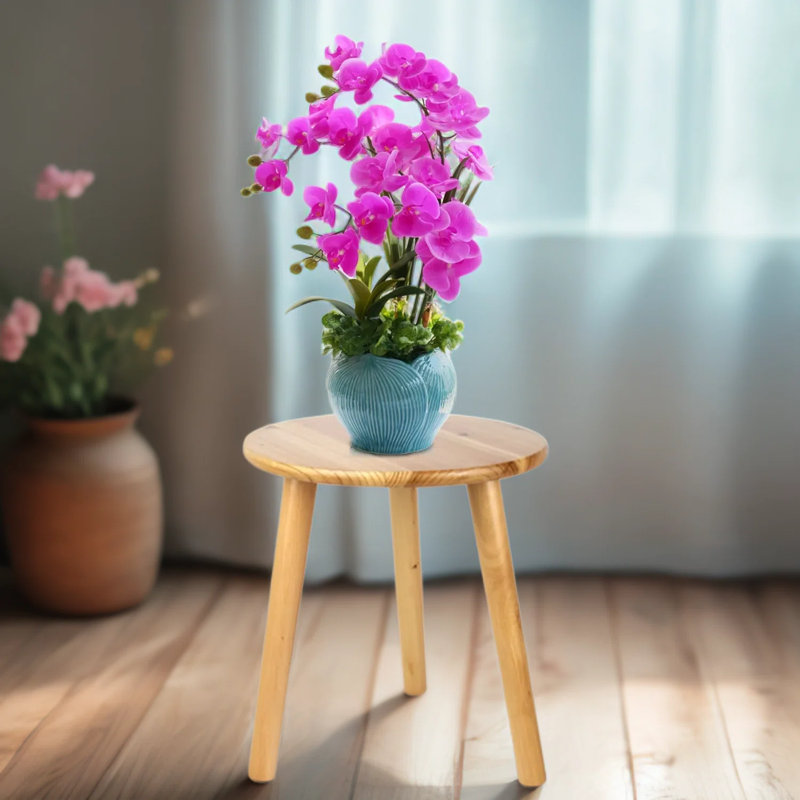 Support pour plante moderne Mid Century - petite table d'appoint ronde en bois massif pour plantes d'intérieur, plantes grasses et décoration intérieure