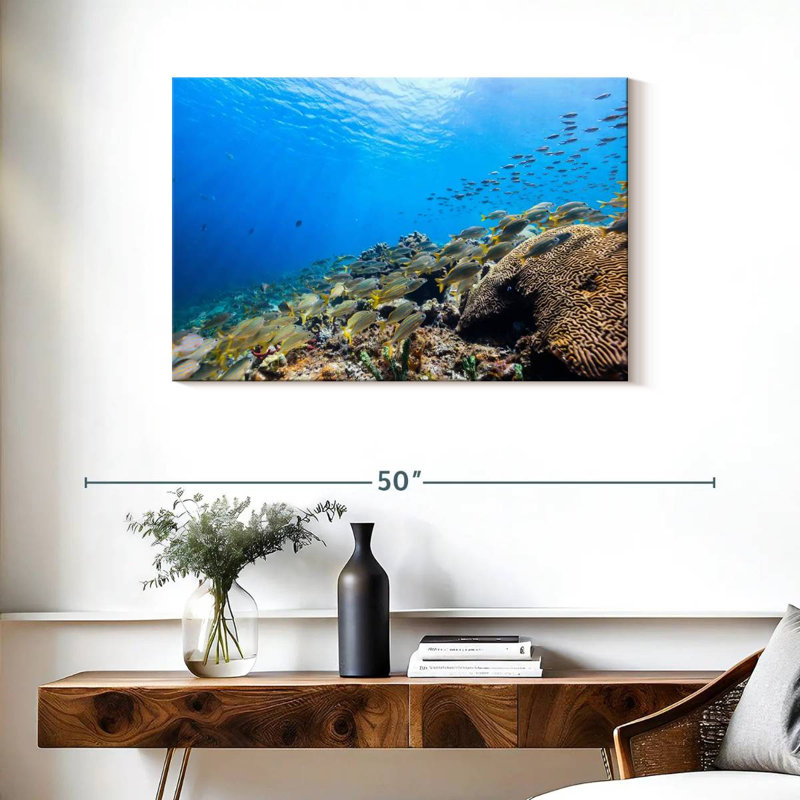 St. lucia ocean life Aletra, H 24 po x l 36 po