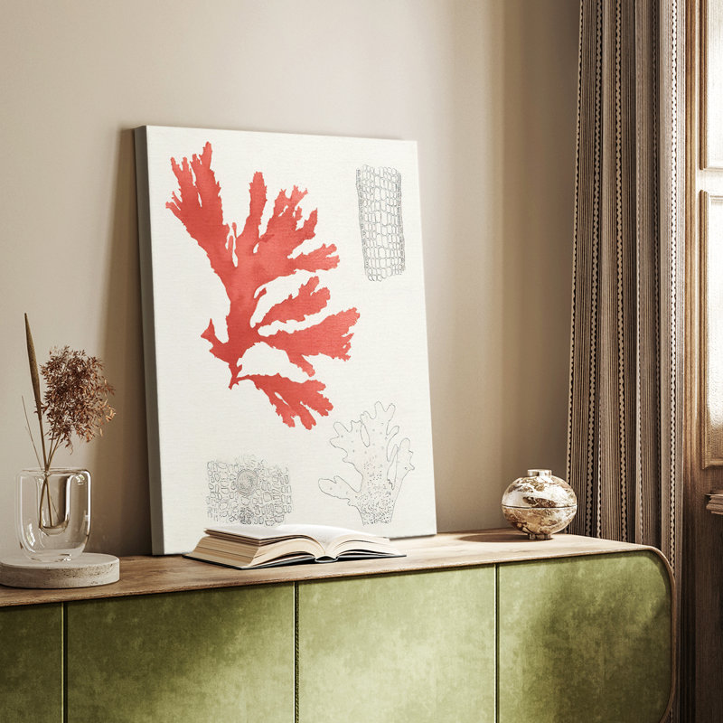 Étude de corail rétro III - galerie Cavas sur mesure, H 36 po x l 24 po