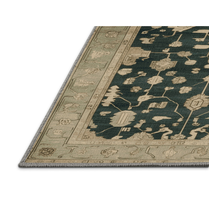 Machine Washable Overdyed Brown Area Rug, Rectangle 2' x 3'