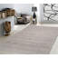 Transitional Silver/Gray Area Rug
