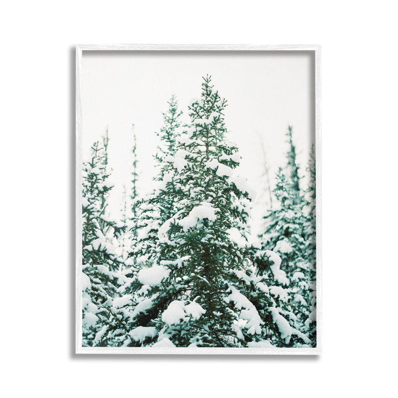 WoodlandFir avec SnowGicleeArtbyJustineMilton, Estampe numérique encadrée blanc bord de mer, H 20 po x l 16 po