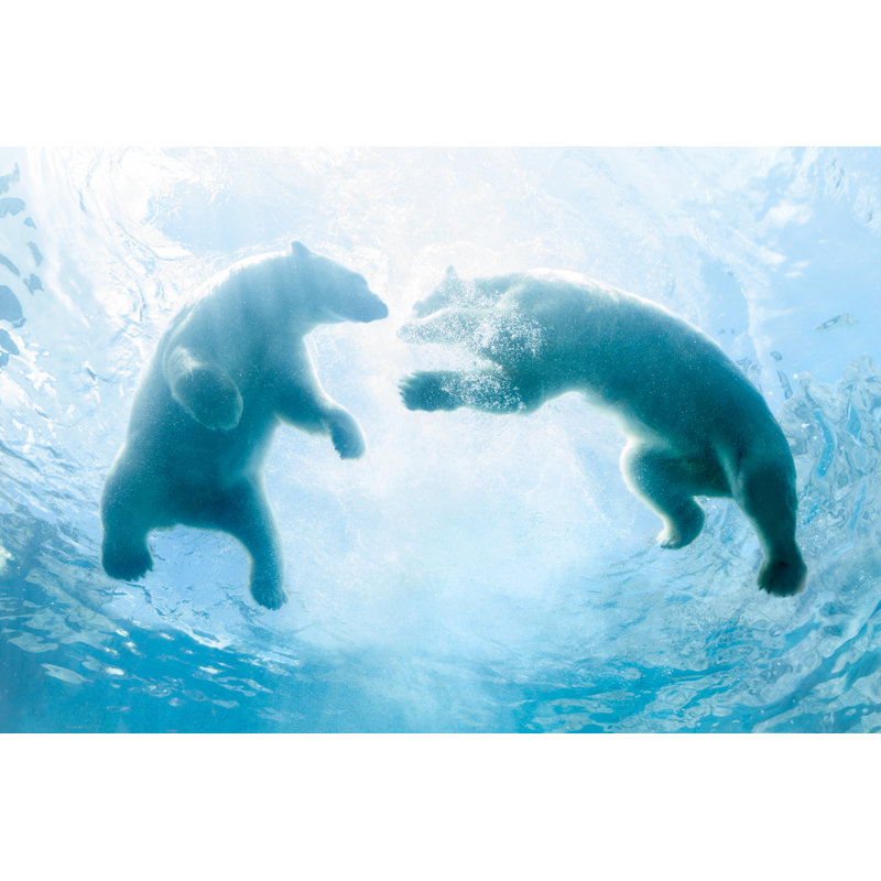 Polar Bear Playing In Water - Wrapped Canvas Print, 81cm H x 122cm W x 3.8cm D
