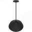 Luminaire suspendu à DEL 14 po de diamètre noir intégré-743941249