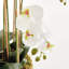 Phalaenopsis Orchid Bowl Drop-In 20"-1456498284