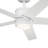 Brahm 48'' Ceiling Fan with LED Lights