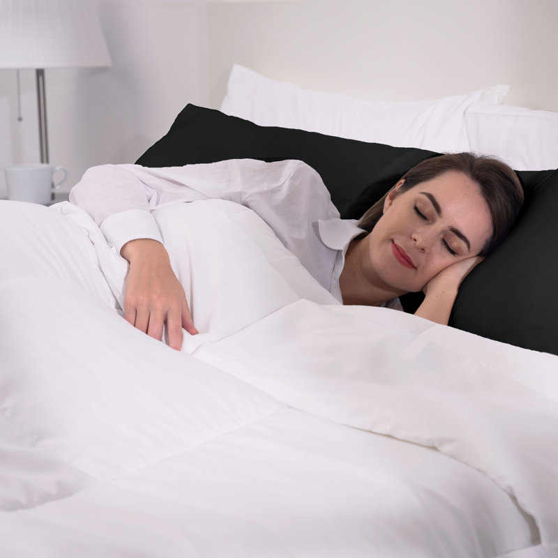 Taie d'oreiller en microfibre douce - Basics by Wayfair ™, Standard, Noir