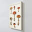 "Mushroom Chart III Light" by Wild Apple Portfolio Print on Canvas-964299320