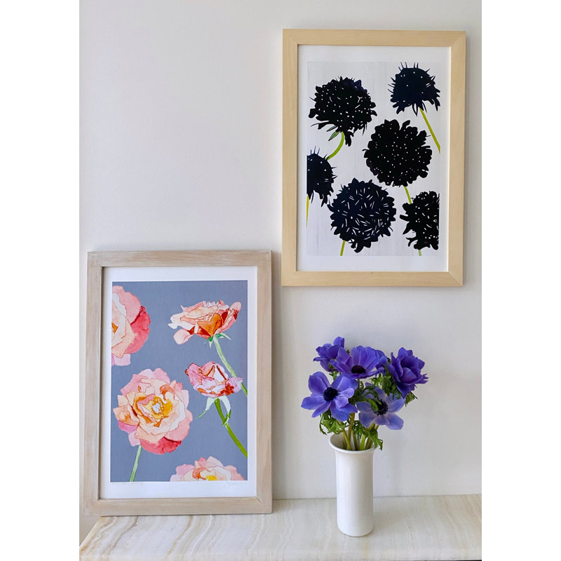 Scabiosa noir sur neige - sans cadre, H 11 po x l 8,5 po