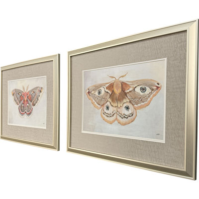 Forest Moth Framed Art